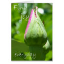 Search for rose postage Floral