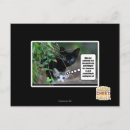 Search for evil horizontal postcards I can has cheezburger