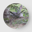 Recherche de de lapin horloges Nature