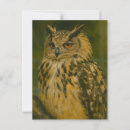 Recherche de eurasien cartes postales Chouette