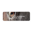 Search for black horse return address labels Horses