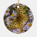 Search for asters ornaments Purple