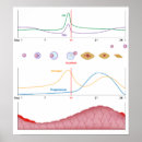 Search for fertility art Health