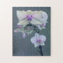 Recherche de nuances puzzles Tropical