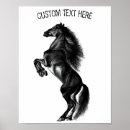 Recherche de chevaux noirs posters Debout