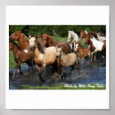 Search for assateague posters Ocean