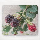 Search for ripe fruit electronics Plant