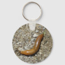 Search for slug keychains Snails