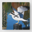 Search for fall winter clocks Abstract