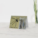 Search for spider web halloween cards Autumn