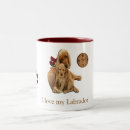 Search for labradors mugs Cute