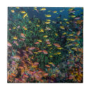 Recherche de récif carreaux Sous marin