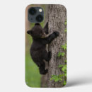 Search for cades cove electronics Tennessee