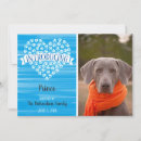 Search for rescued dog invitations Dogs