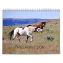 Search for colt calendars Stallion