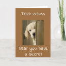 Search for jokester postcards Photography