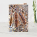 Search for seed pods cards Autumn