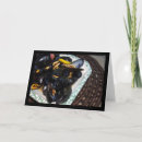 Search for shellfish cards Seafood