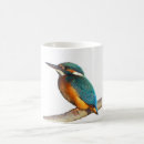 Recherche de kingfisher tasses Mignon