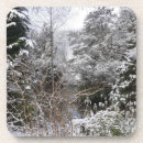 Search for snowflake pictures coasters Snowflakes
