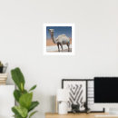 Search for arabian posters Middle east