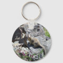 Search for marmot keychains Nature