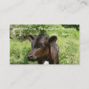 Search for moo standard business cards Cow