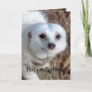 Recherche de de coton anniversaire cartes Blanc