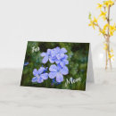 Search for blue flowers mothers day cards Mom