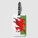 Search for dragon luggage tags Symbol