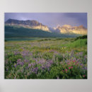 Search for many glacier posters Mountain