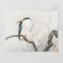 Search for quack postcards Bird