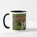 Search for azalea drinkware North america