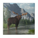 Recherche de taureaux carreaux Nature