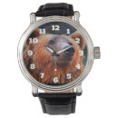 Search for bear watches Animal