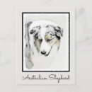 Recherche de petit berger cartes postales Pour tous