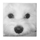 Search for maltese tiles White