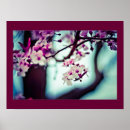 Recherche de cherry blossom posters Sakura