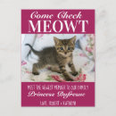 Search for new cat announcement postcards Cats
