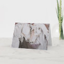 Search for blank horse cards Arabian
