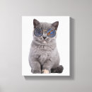 Search for british shorthair cat art Kitten