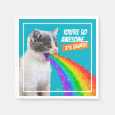 Recherche de chaton mignon serviettes Humour