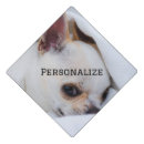 Search for dog graduation cap toppers Puppy