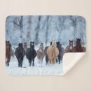 Search for horse blankets Herd