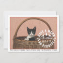 Search for purrfect christmas cards Pet