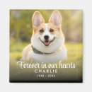 Search for pet memorial magnets Funeral