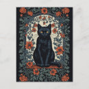 Recherche de chat noir vintage cartes postales Antique
