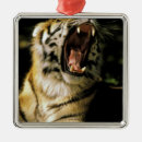 Recherche de bouche ornements Faune