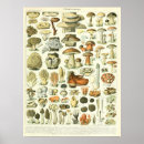 Recherche de adolphe posters Vintage