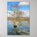 Recherche de arbre posters Eau